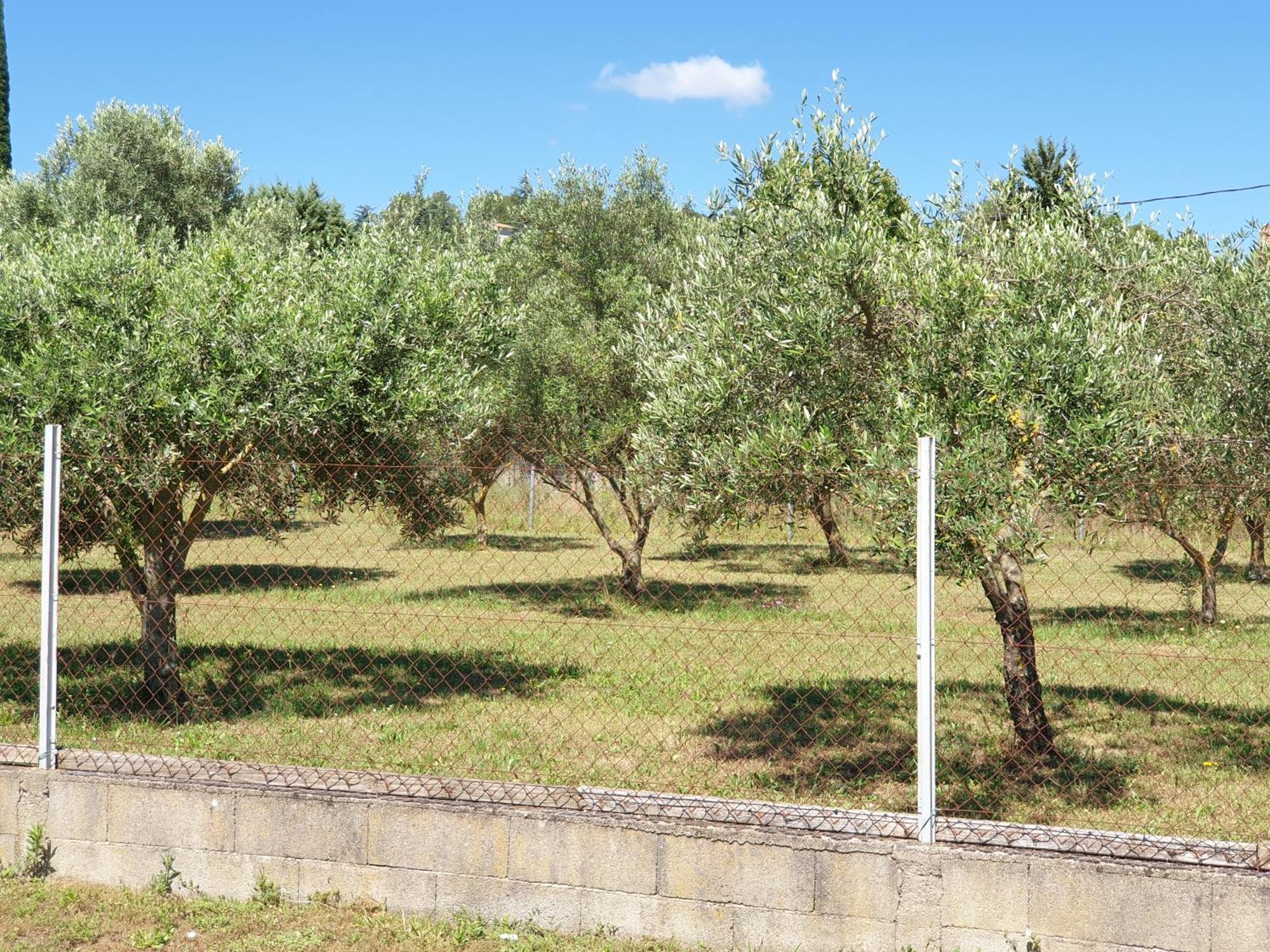 Gite Et Piscine L'Ecrin Aux Oliviers En Cevennes Saint-Christol-les-Ales Экстерьер фото